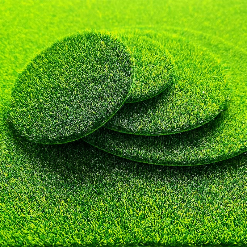 Terrarium Moss Art - มอสเทียมทรงกลม 5/10 ชิ้น หญ้าปลอม แผ่นมอสจำลอง สำหรับตกแต่งสวนจิ๋ว