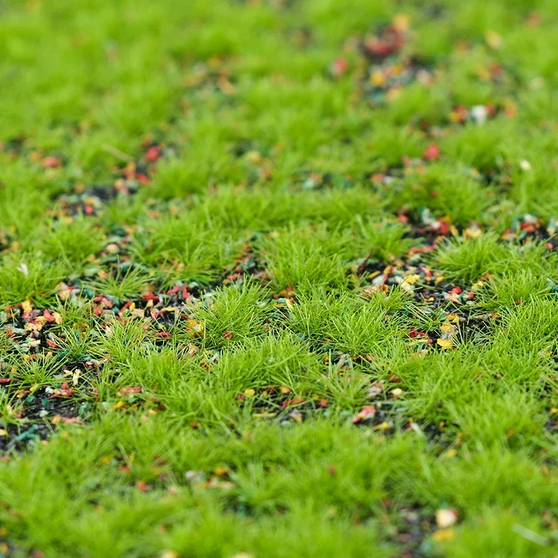สนามหญ้าประดิษฐ์ Moss จําลองทุ - Terrarium Moss Art บทวิจารณ์และราคา