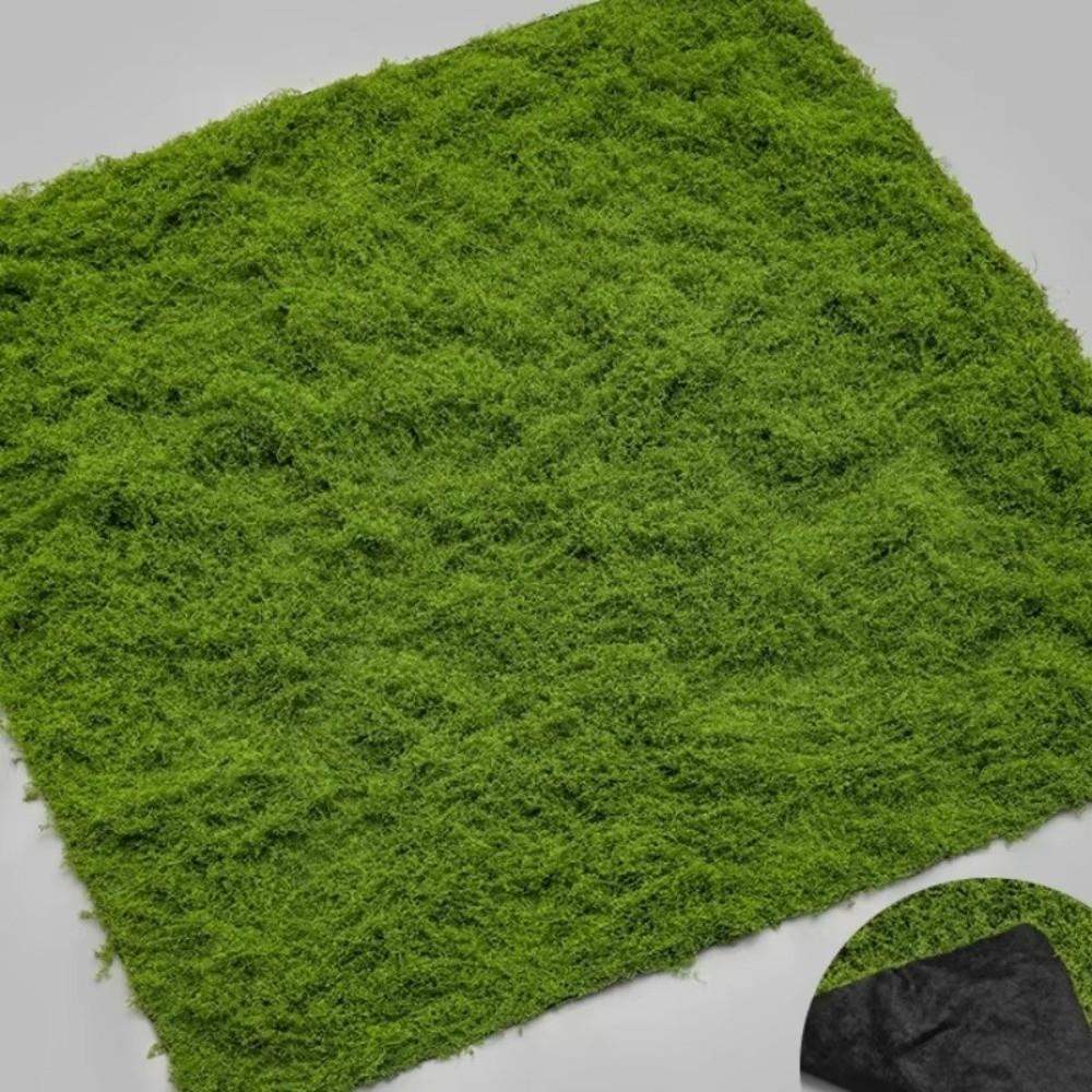 พรมหญ้าเทียม DIY ทนทาน ไม่ต้อง - Terrarium Moss Art บทวิจารณ์และราคา
