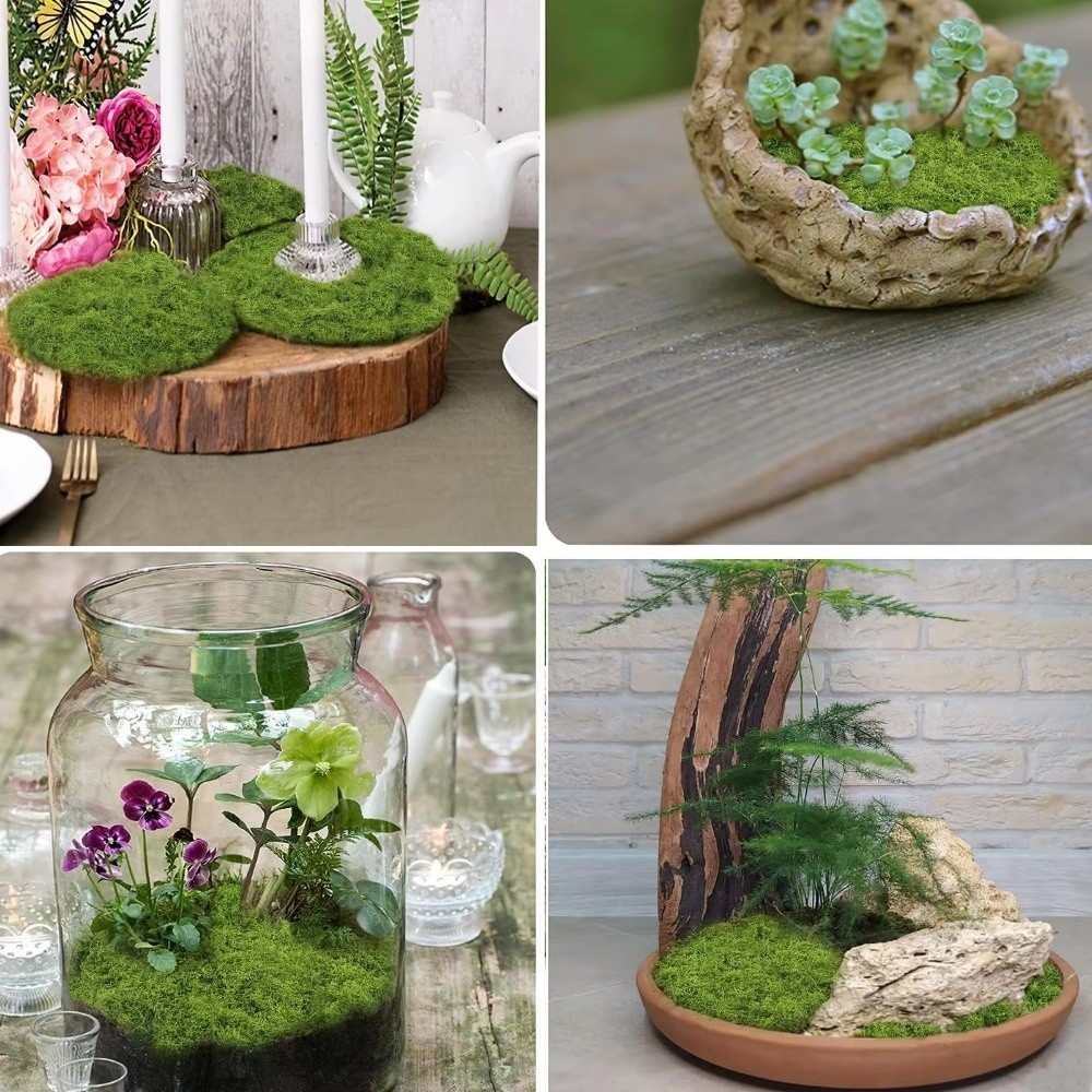 พรมหญ้าเทียม DIY ทนทาน ไม่ต้อง - Terrarium Moss Art บทวิจารณ์และราคา