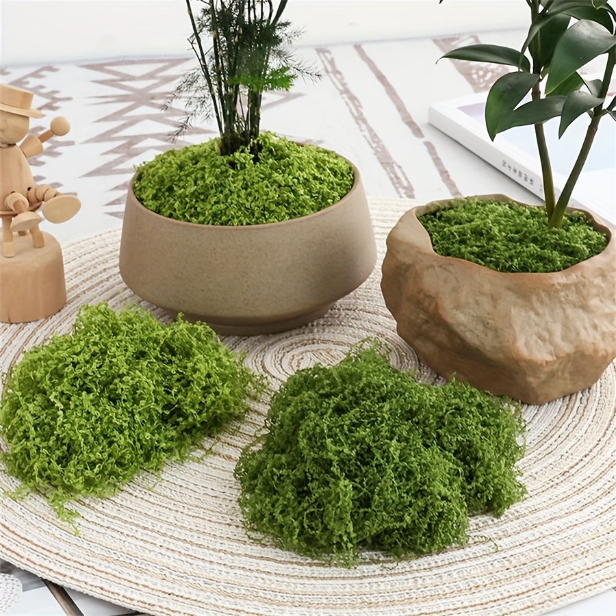 1 แพ็คประดิษฐ์ปลอม Moss, 1.05  - Terrarium Moss Art บทวิจารณ์และราคา
