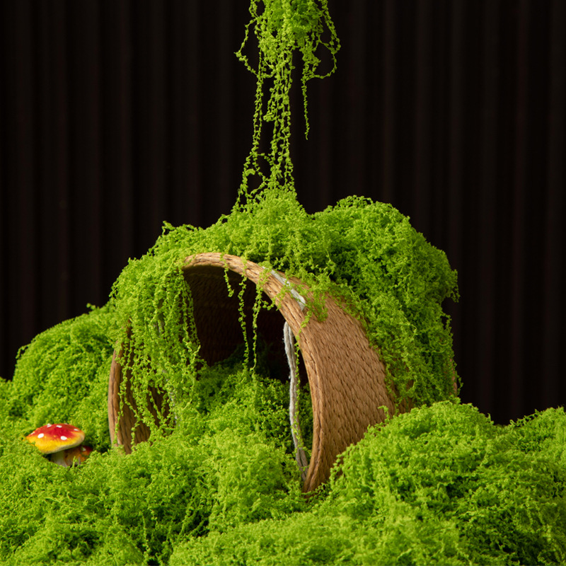 มอสอมตะ 200 กรัม สำหรับงาน DIY - Terrarium Moss Art บทวิจารณ์และราคา
