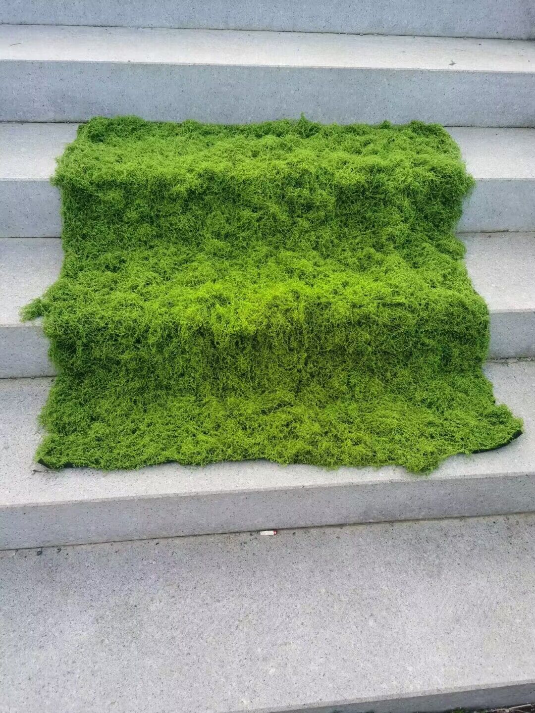 Aqumoticสนามหญ้าประดิษฐ์จําลอง - Terrarium Moss Art บทวิจารณ์และราคา