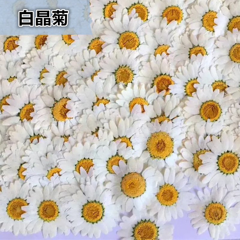 ดอกเดซี่คริสตัลสีขาวธรรมชาติ 1 - Resin Craft Ideas บทวิจารณ์และราคา