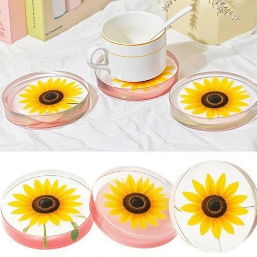 แม่พิมพ์ซิลิโคนทรงกลมลึก 6 ช่อ - Coaster Mold Round บทวิจารณ์และราคา