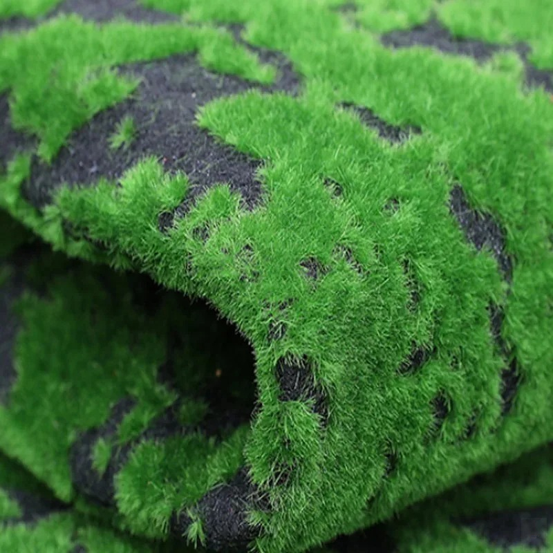 พรมหญ้าเทียมขนาด 50x50 ซม. หญ้ - Terrarium Moss Art บทวิจารณ์และราคา