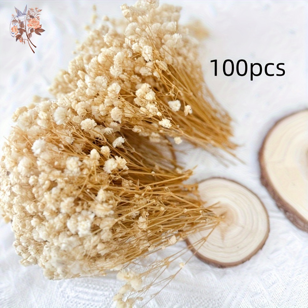 ดอกยิปโซฟิล่าแห้งขนาดเล็ก 100  - Resin Craft Ideas บทวิจารณ์และราคา